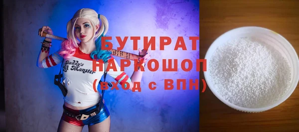 амф Ельня