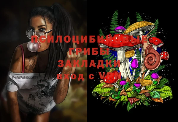 соль курить ск Белокуриха