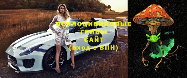 прущая мука Арсеньев