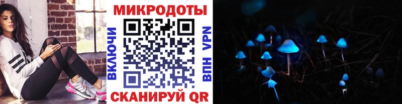 магазин продажи наркотиков  Судак  darknet как зайти  Галлюциногенные грибы MAGIC MUSHROOMS 